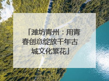 潍坊青州：用青春创意绽放千年古城文化繁花